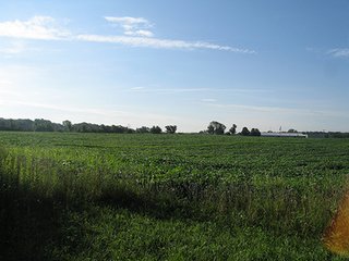 Property photo 1 - 80+/- Acres Land Auction offered in 5 Tracts